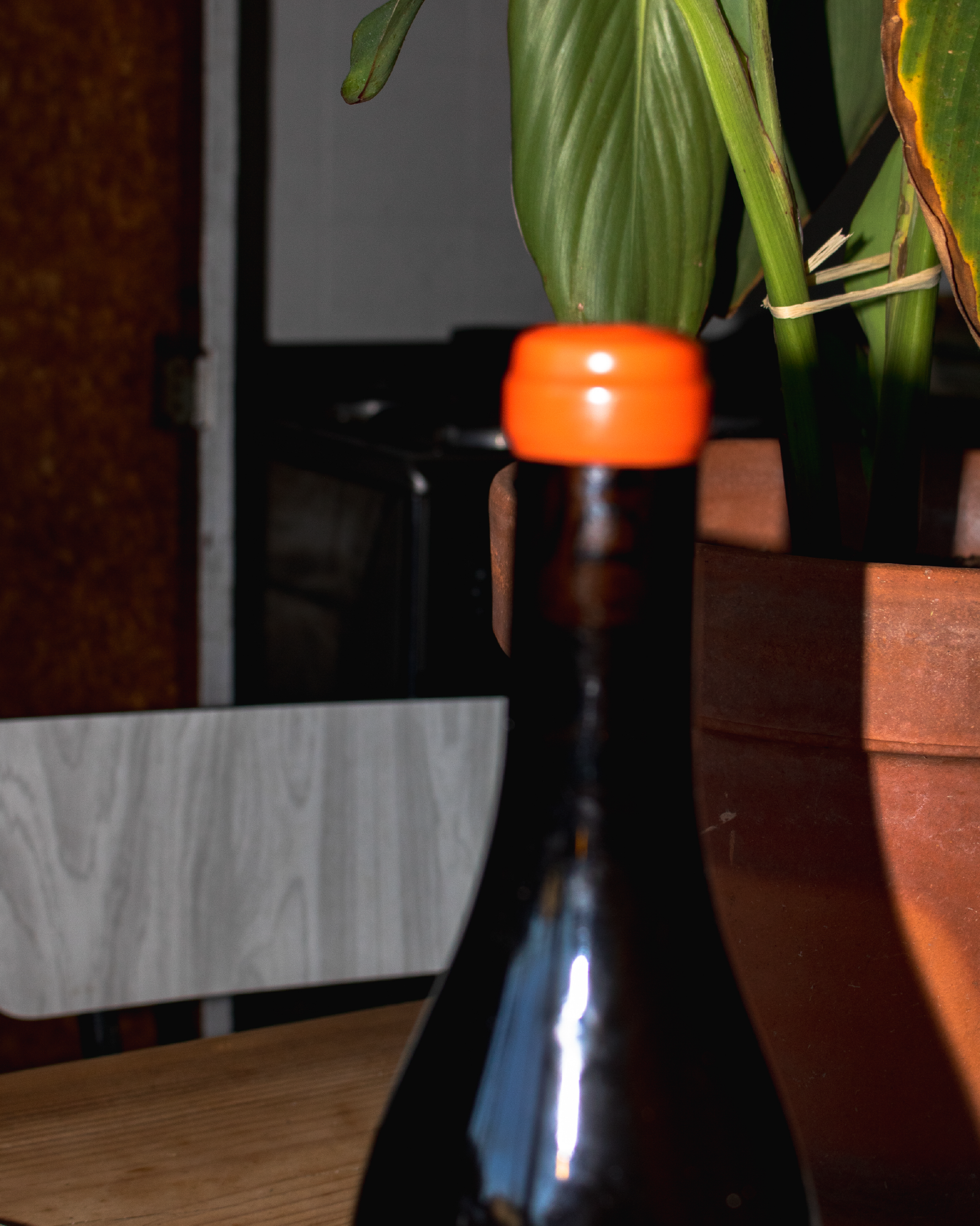 shooting étiquette bouteille de vin 4