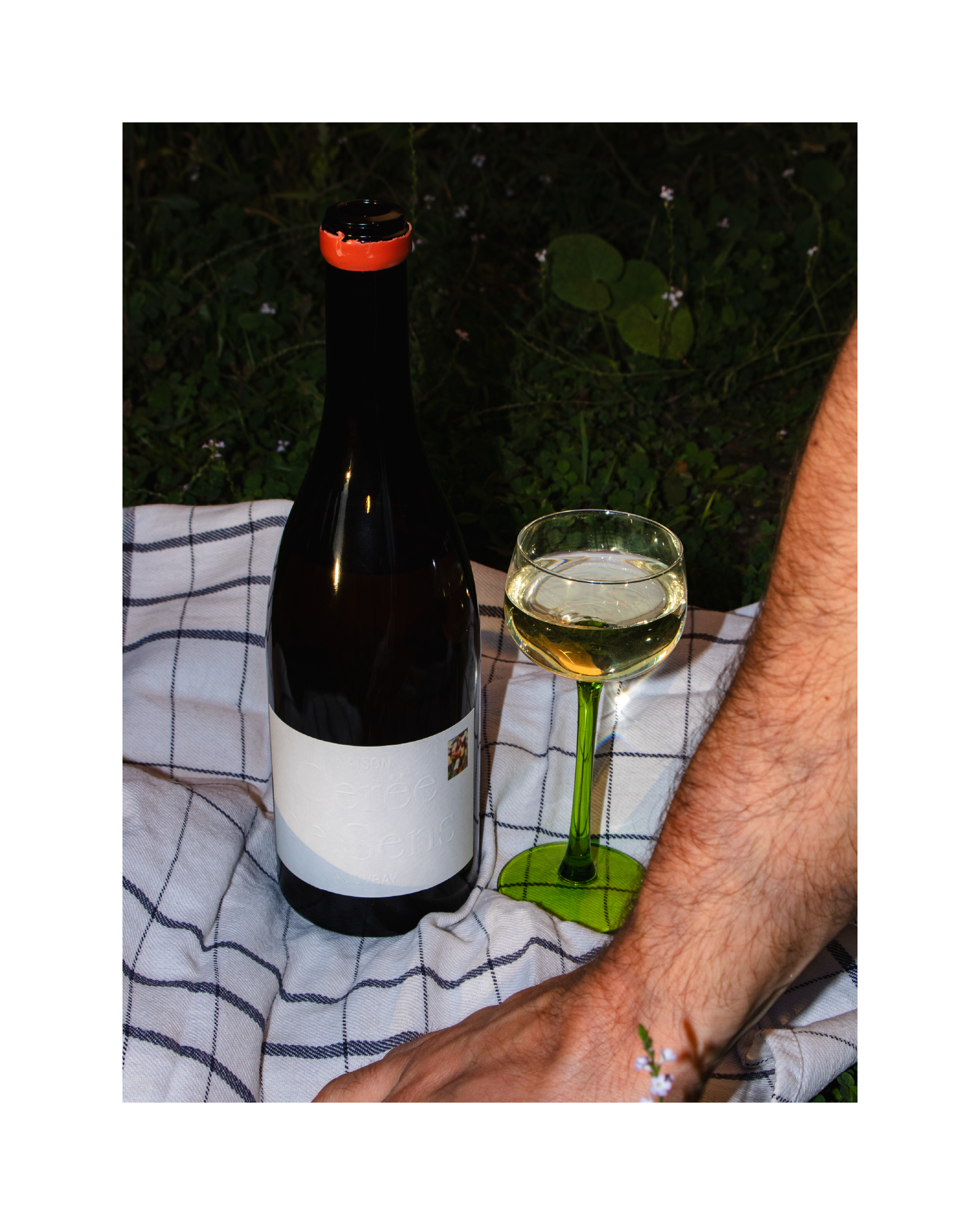 shooting étiquette bouteille de vin 6